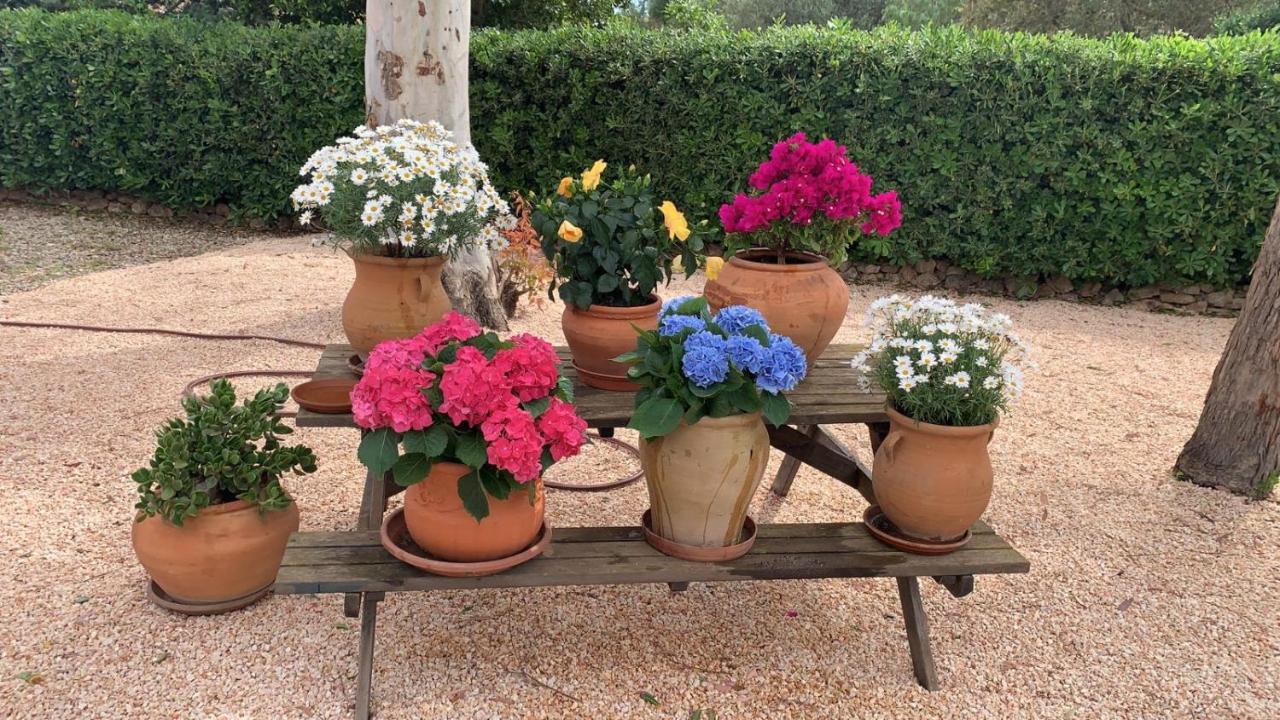 Kentia Mallorca, Charming And Stylish Close To * Palma
