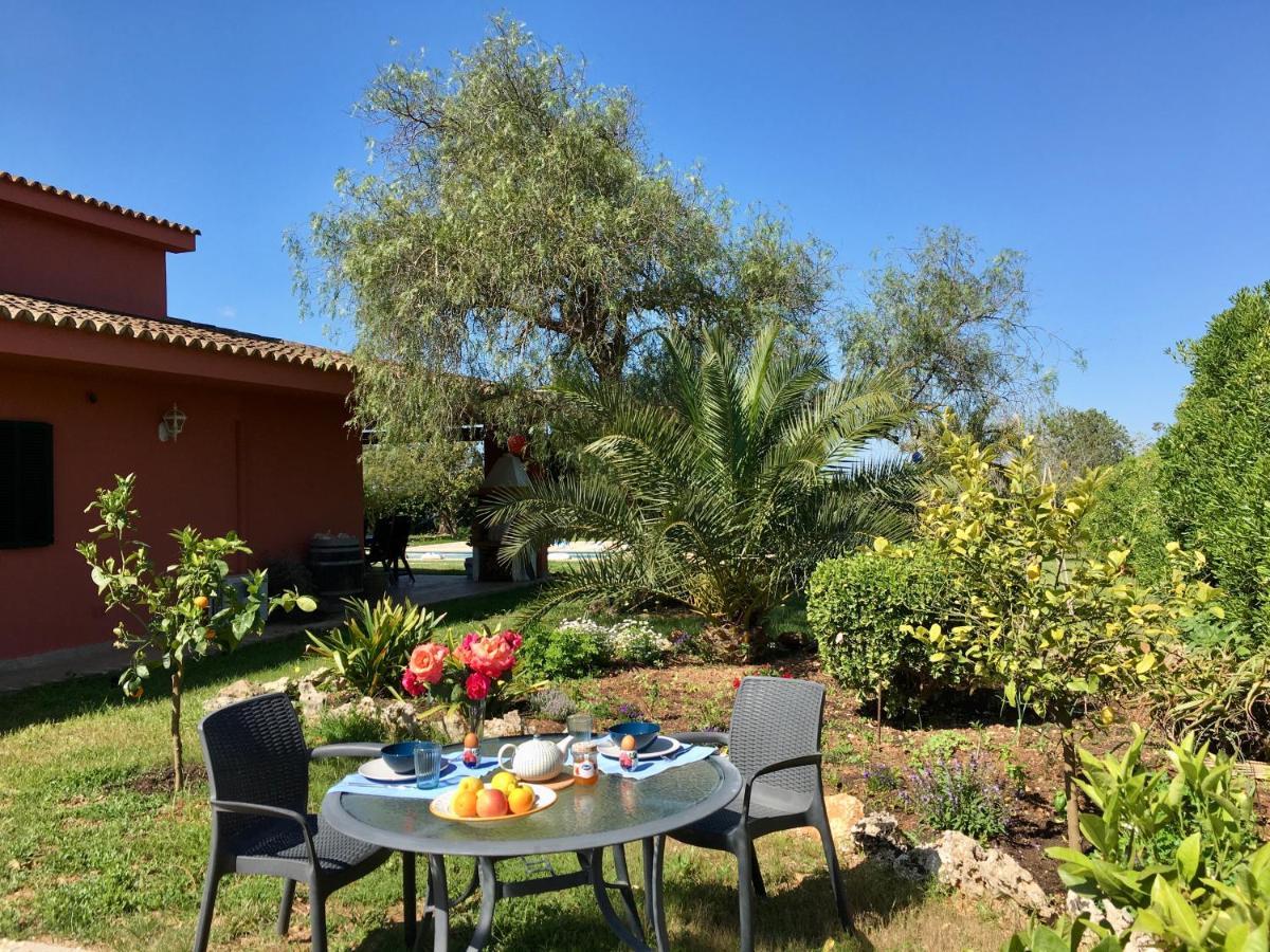 Kentia Mallorca, Charming And Stylish Close To